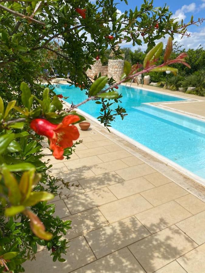 Pugliaholidayplus - Villa Cassano Polignano a Mare Εξωτερικό φωτογραφία